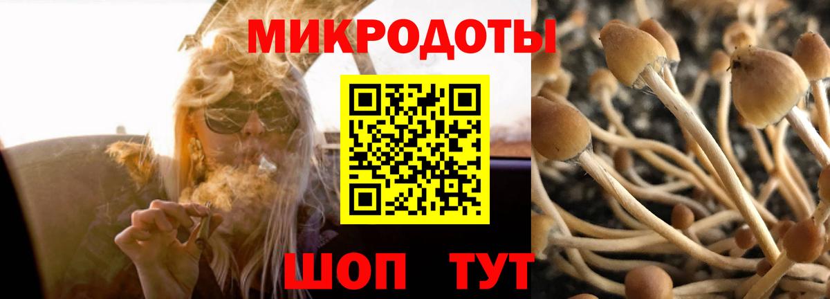 Псилоцибиновые грибы прущие грибы  Вход с VPN  Котовск 